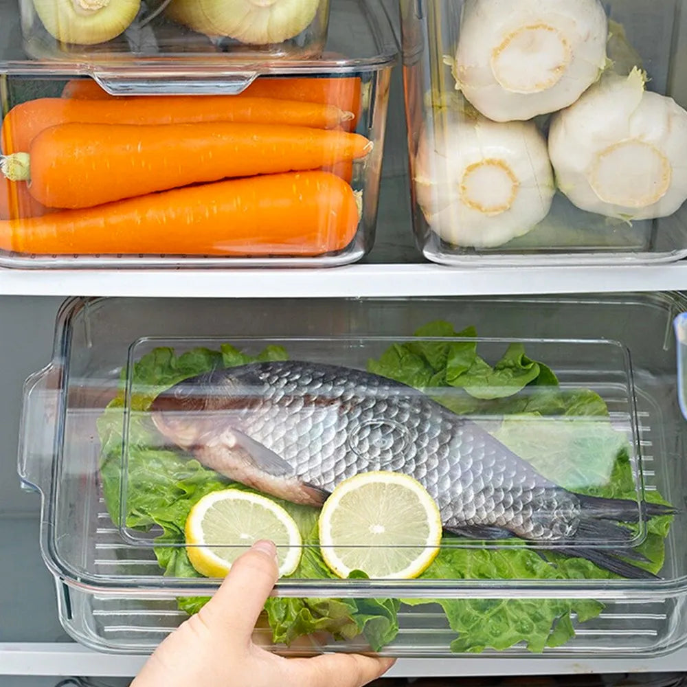 FreshBox | Ordena tu refri. Conserva mejor. | Pack x6